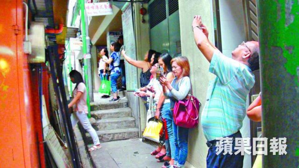 ■大批市民見果子狸出現,紛紛舉機拍攝。黃麗英攝 ■大批市民見果子狸出現,紛紛舉機拍攝。黃麗英攝