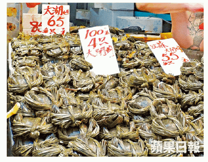 ■旺角有街市海鮮檔出售每隻65元「太湖」大閘蟹，店員稱不清楚如何出口。李家皓攝■元朗有店舖負責人稱遭食環下令停售，昨收起雪櫃內大閘蟹。