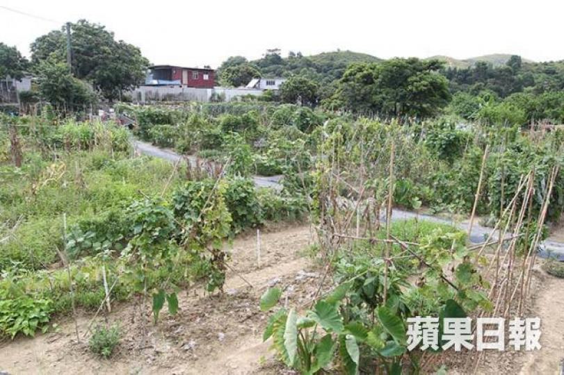 ■巿場憧憬新界農地改劃為新樓宇供應，刺激一眾本港地產股上揚。　資料圖片