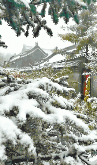 ■北京門頭溝靈山昨晨下雪。 ■北京門頭溝靈山昨晨下雪。