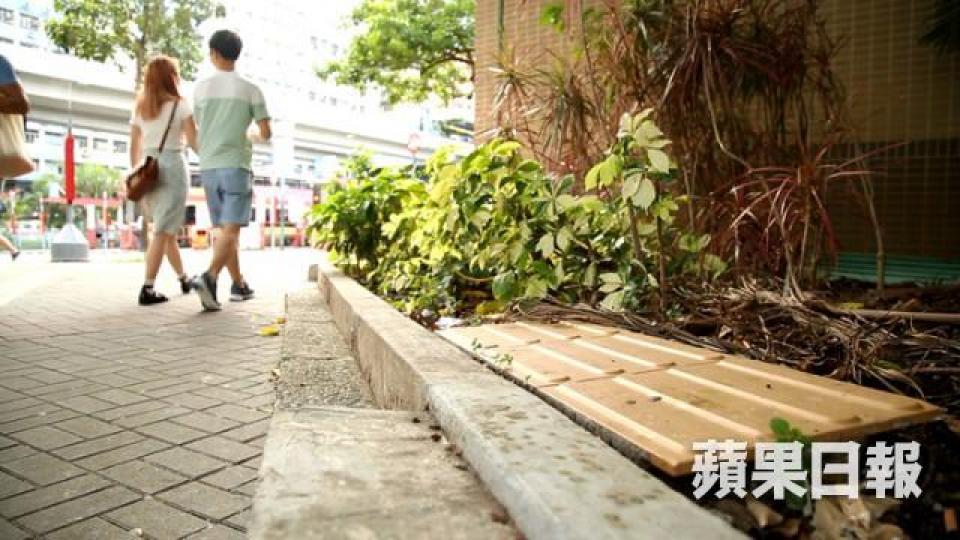 觀塘巴士總站引路徑鋪入花槽。朱家駿攝大埔懷仁街。朱家駿攝石硤尾偉智街引路徑斷開距離太遠,加上沒有路壆,視障人士容易走進馬路。受訪者提供圖片粉嶺華明邨,斜道盡處被欄杆擋著。受訪者提供圖片火炭駿景園,無障礙通道被貨物阻塞。受訪者提供圖片 觀塘巴士總站引路徑鋪入花槽。朱家駿攝大埔懷仁街。朱家駿攝石硤尾偉智街引路徑斷開距離太遠,加上沒有路壆,視障人士容易走進馬路。受訪者提供圖片粉嶺華明邨,斜道盡處被欄杆擋著。受訪者提供圖片火炭駿景園,無障礙通道被貨物阻塞。受訪者提供圖片