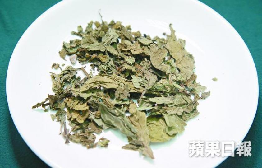 ■中醫推介可用薄荷葉製成漱口茶。朱家駿攝
■中醫推介可用薄荷葉製成漱口茶。朱家駿攝