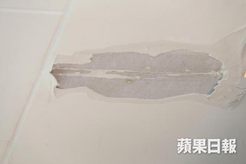 ■天花批盪剝落情況。王子俊攝 ■天花批盪剝落情況。王子俊攝