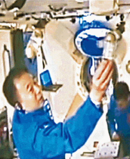 ■6條太空蠶去年隨神舟十一升空。 ■6條太空蠶去年隨神舟十一升空。