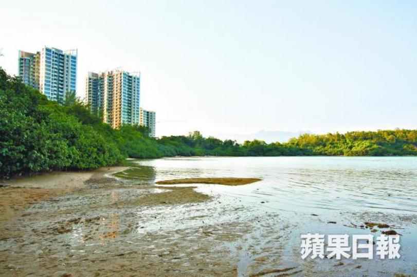 ■海星灣距離長實及恒基的樓盤約百米,兩樓盤尚有一手貨尾。黃耀興攝 ■海星灣距離長實及恒基的樓盤約百米,兩樓盤尚有一手貨尾。黃耀興攝