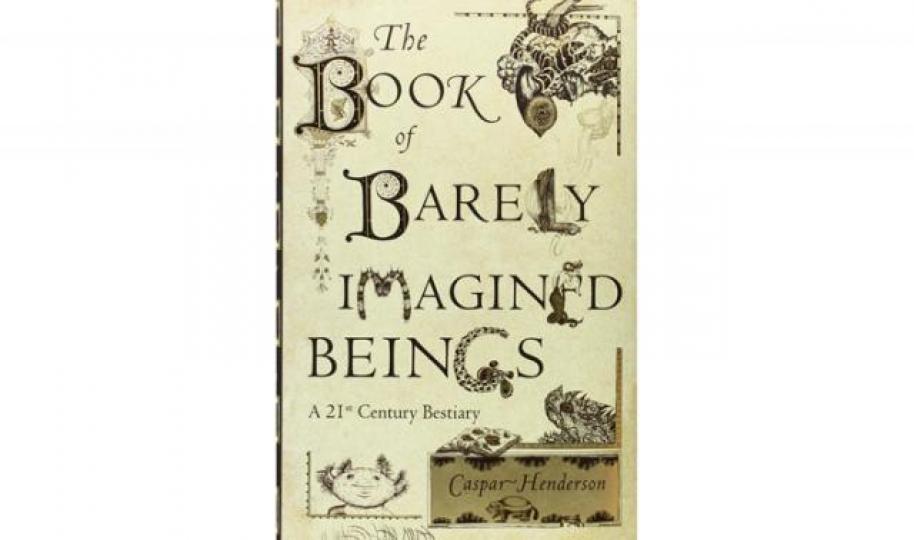 ■《The Book of Barely Imagined Beings:A21st Century Bestiary》 ■《The Book of Barely Imagined Beings:A21st Century Bestiary》