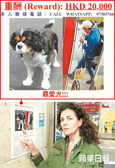 ■Audrey在西環一帶貼街招尋犬,並登出涉偷狗亞裔漢的閉路電視截圖。周子惇攝 ■Audrey在西環一帶貼街招尋犬,並登出涉偷狗亞裔漢的閉路電視截圖。周子惇攝