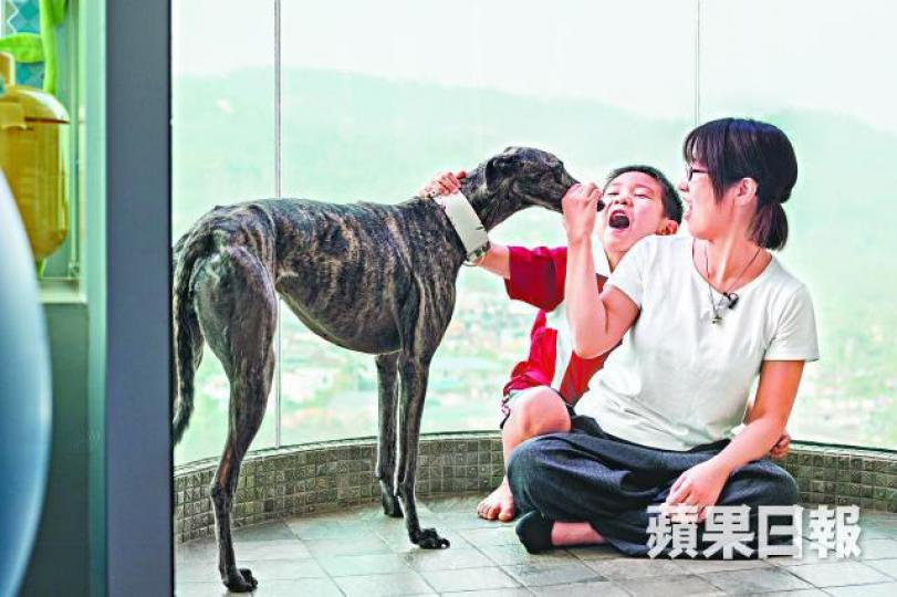 ■前半生與賽跑分不開的格力犬Garlic,最終得到Edith一家愛錫。■逾80年歷史的逸園賽狗場尚有600多隻格力狗。■主人形容Garlic平日很懶,最多時間是睡覺。 ■前半生與賽跑分不開的格力犬Garlic,最終得到Edith一家愛錫。■逾80年歷史的逸園賽狗場尚有600多隻格力狗。■主人形容Garlic平日很懶,最多時間是睡覺。