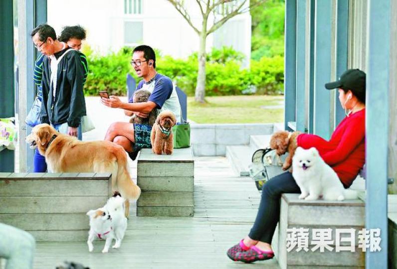 ■工地旁為寵物公園,平日有大量放狗人士出入。 ■工地旁為寵物公園,平日有大量放狗人士出入。