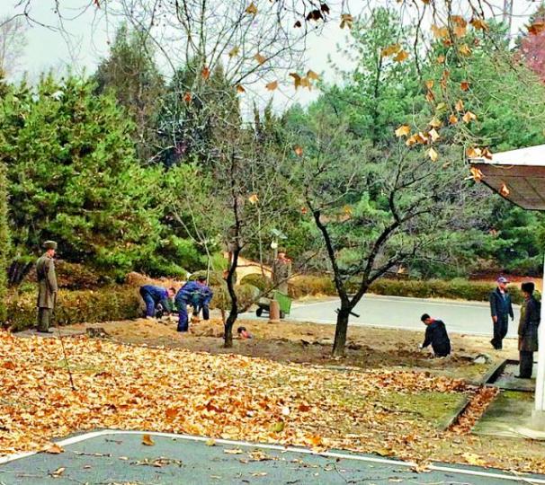 ■北韓軍人在變節士兵跑經的位置挖深坑和植樹。路透社
■北韓軍人在變節士兵跑經的位置挖深坑和植樹。路透社