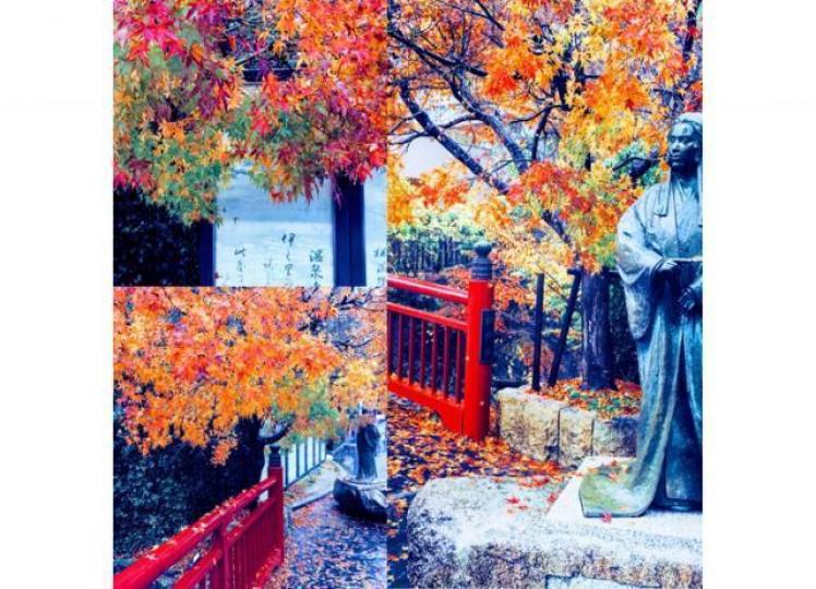 ■紅葉雖已掉得七七八八,但剩下來的,還是鮮豔得教人一見傾心。作者提供圖片 ■紅葉雖已掉得七七八八,但剩下來的,還是鮮豔得教人一見傾心。作者提供圖片