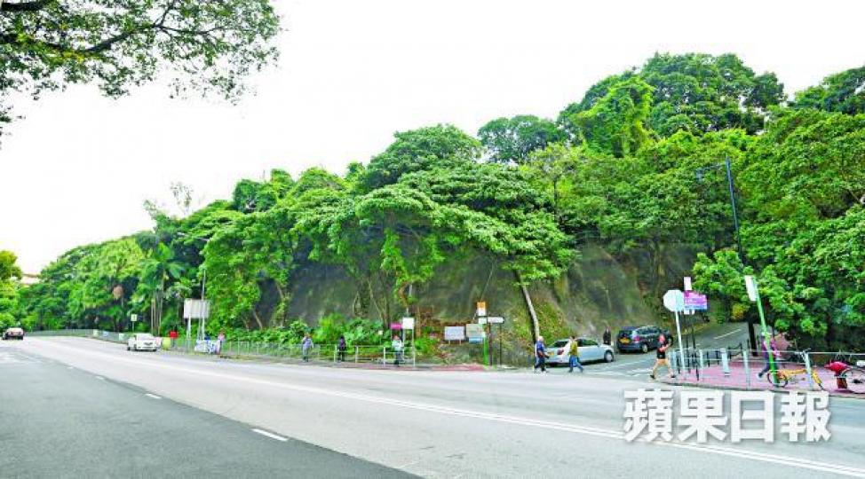 大埔鷺鳥林 大埔鷺鳥林