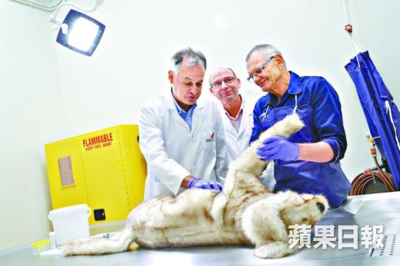 ■檢驗中心目前已聘請3名外國動物病理學專家,有助更快診斷化驗結果。 ■檢驗中心目前已聘請3名外國動物病理學專家,有助更快診斷化驗結果。