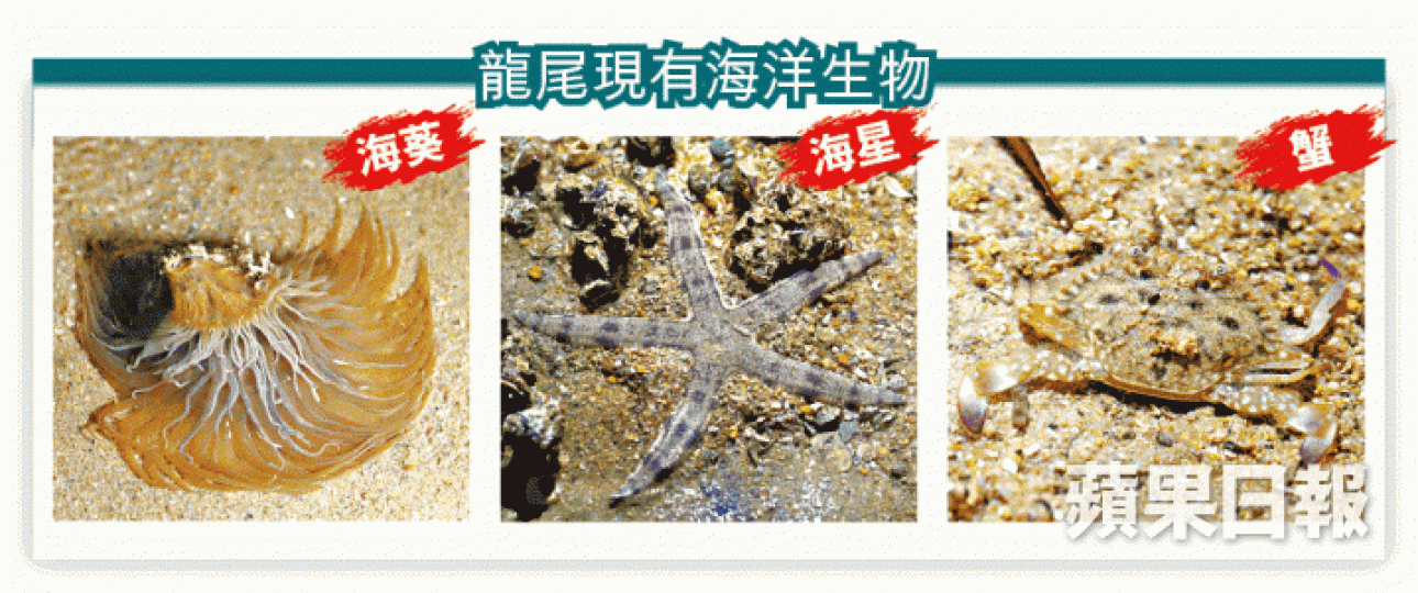 _e123_Bkuuwg_a0405a