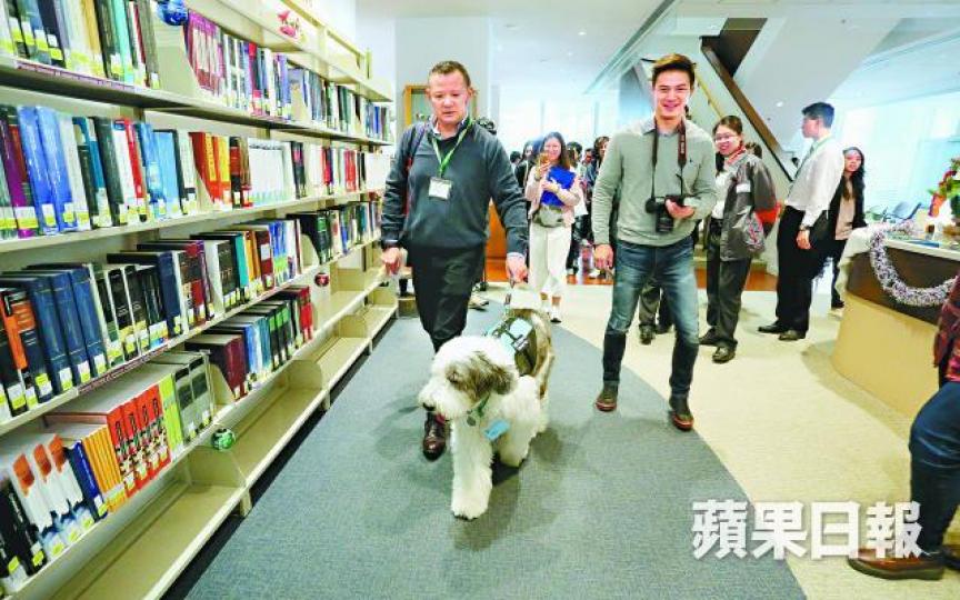 ■港大圖書館試行駐館治療犬,Jasper將與師生約會。李錦鏵攝■Jasper獲陳洪華領養,訓練成「狗醫生」。 ■港大圖書館試行駐館治療犬,Jasper將與師生約會。李錦鏵攝■Jasper獲陳洪華領養,訓練成「狗醫生」。