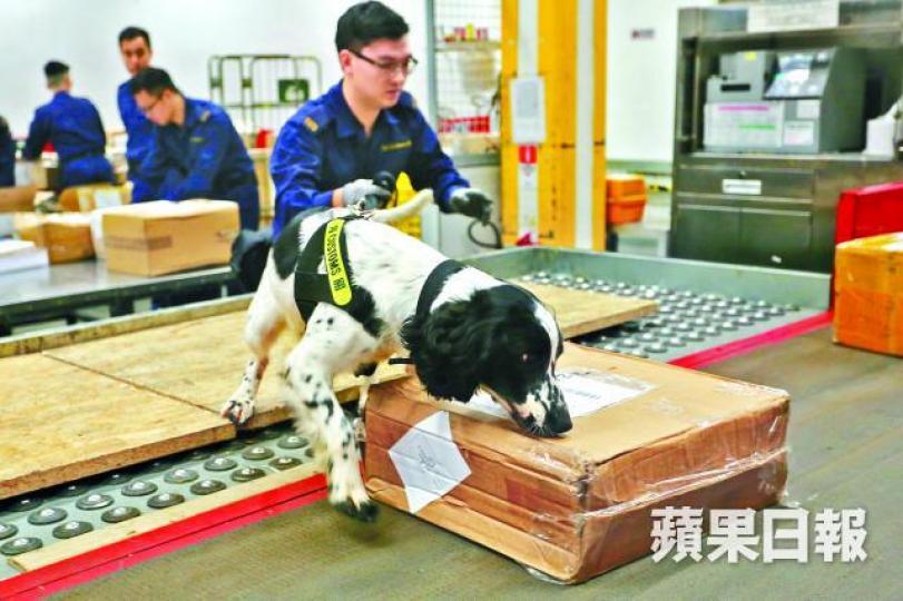 ■海關借助搜查犬加強堵截可疑郵包。伍家亮攝 ■海關借助搜查犬加強堵截可疑郵包。伍家亮攝