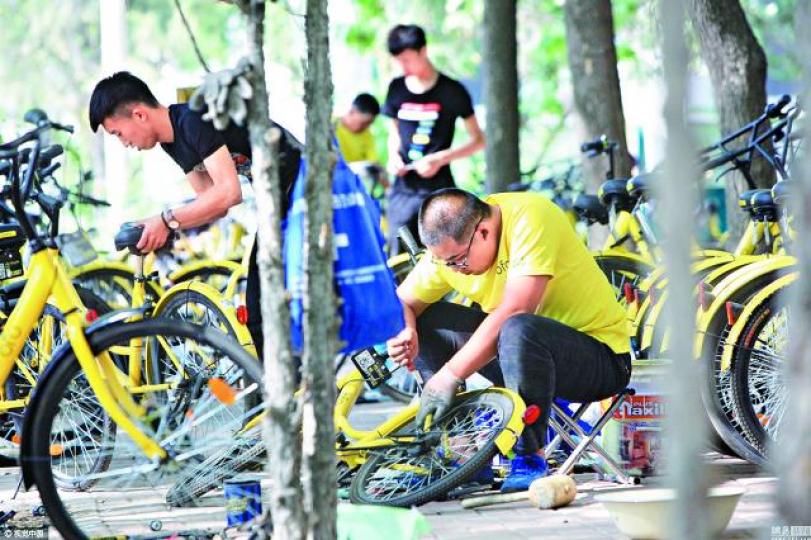 ■單車公司派人維修損毀的共享單車。 ■單車公司派人維修損毀的共享單車。