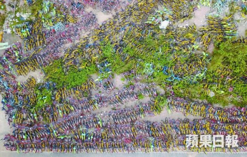 ■深圳過萬輛單車遭扣查，遺棄於亂草堆中。江俊豪攝