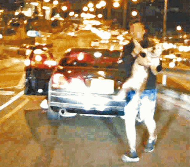 ■凌志私家車撞向前方車輛後，車上男子抱狗逃去。讀者提供圖片