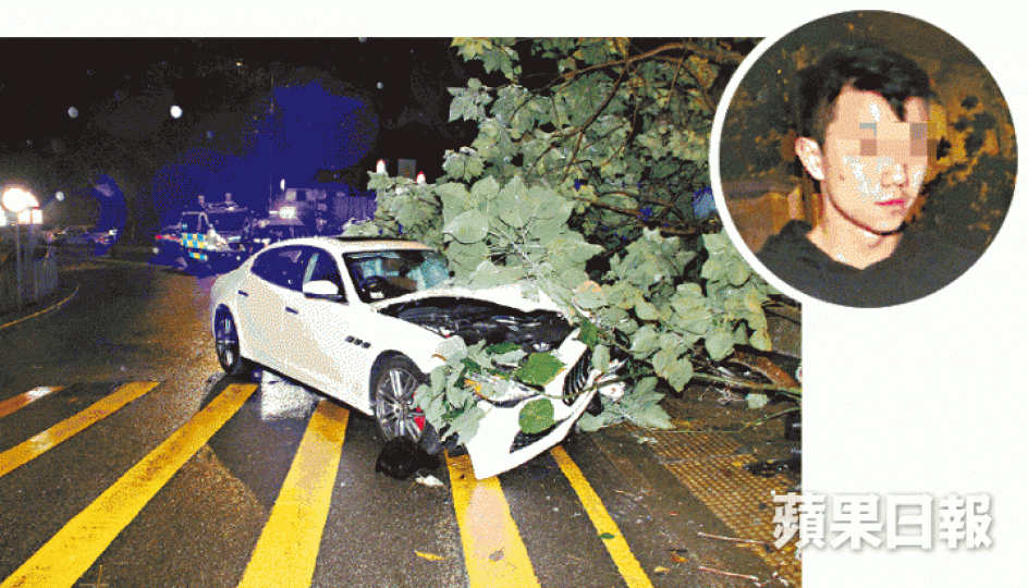 ■肇事瑪莎拉蒂遭大樹壓住車身,司機(圓圖)揭酒駕被捕。 ■肇事瑪莎拉蒂遭大樹壓住車身,司機(圓圖)揭酒駕被捕。