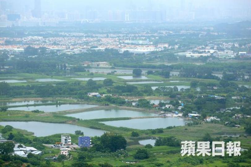 ■新地近年積極於元朗南生圍一帶進行發展。資料圖片