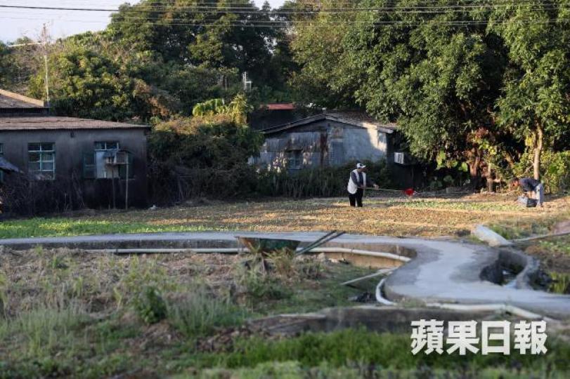 ■本港大部份農夫都是家庭式經營，缺乏資本發展高科技農耕。謝榮耀攝