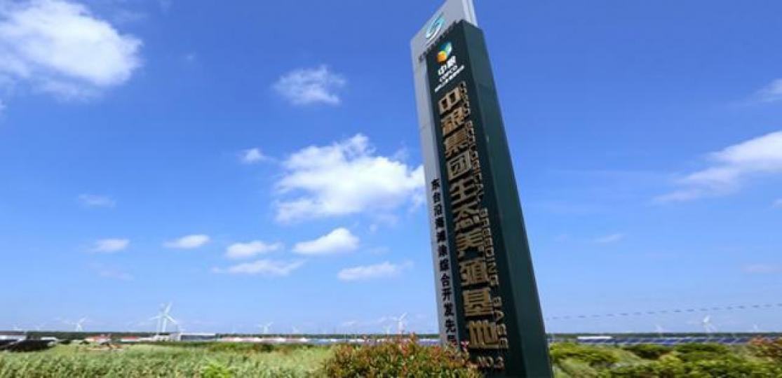 ■中糧肉食係國內第四大生豬養殖商，對口係超級大孖沙中糧集團。互聯網圖片