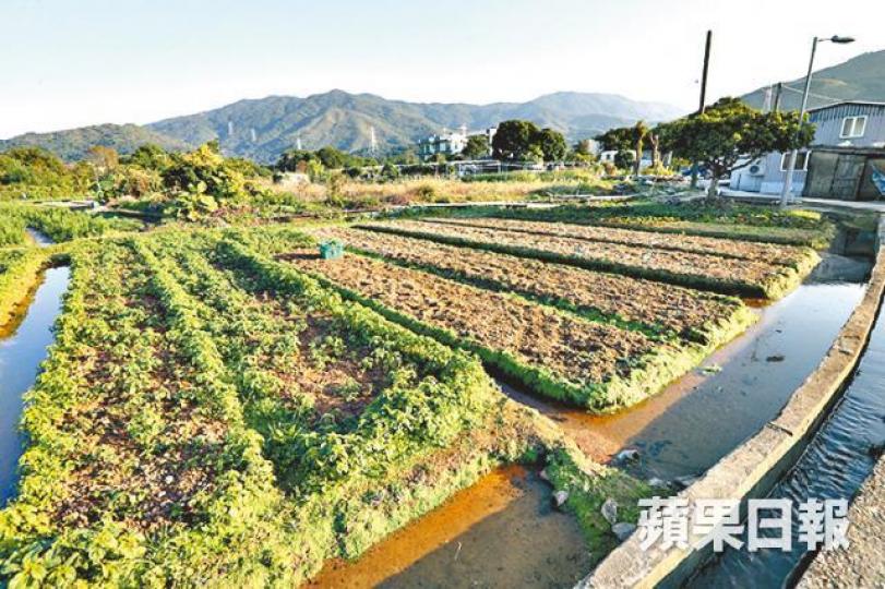 ■港府擬在南蕉徑興建80公頃的農業園。 ■港府擬在南蕉徑興建80公頃的農業園。