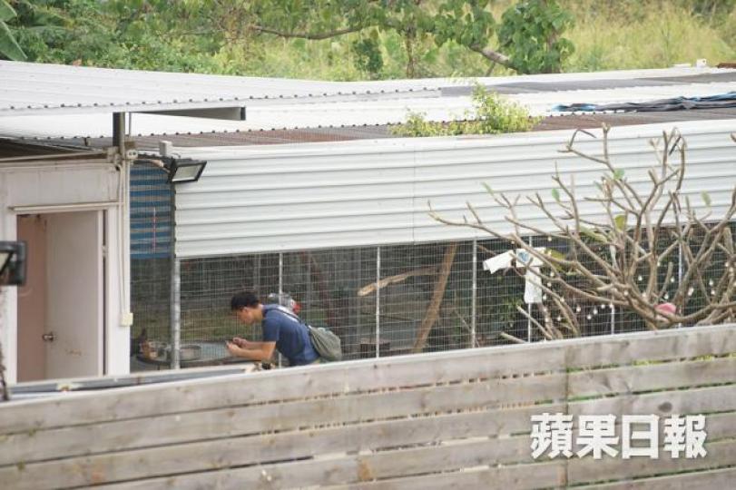 ■警方在元朗搗破「地下動物園」，撿獲大批來歷不明野生動物。張家豪攝