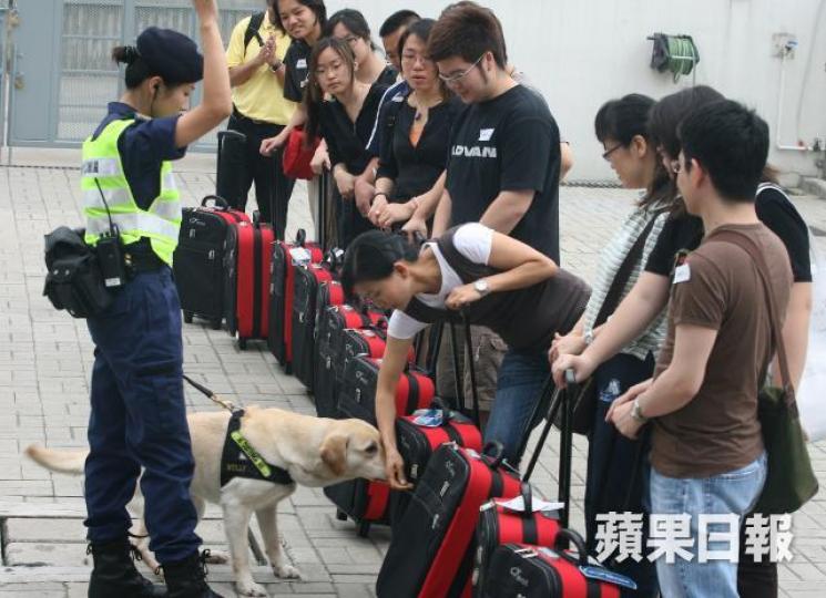 ■海關為將實施的打擊洗黑錢新例,派出搜查犬組到英國訓練本港首批搜鈔犬。資料圖片 ■海關為將實施的打擊洗黑錢新例,派出搜查犬組到英國訓練本港首批搜鈔犬。資料圖片