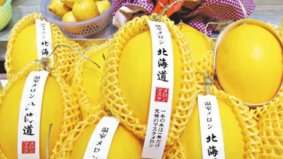假 ■海關撿獲的蜜瓜為黃色,外表較平滑。真 ■北海道蜜瓜外表有網狀紋。進濤菓欄負責人劉小姐 假 ■海關撿獲的蜜瓜為黃色,外表較平滑。真 ■北海道蜜瓜外表有網狀紋。進濤菓欄負責人劉小姐