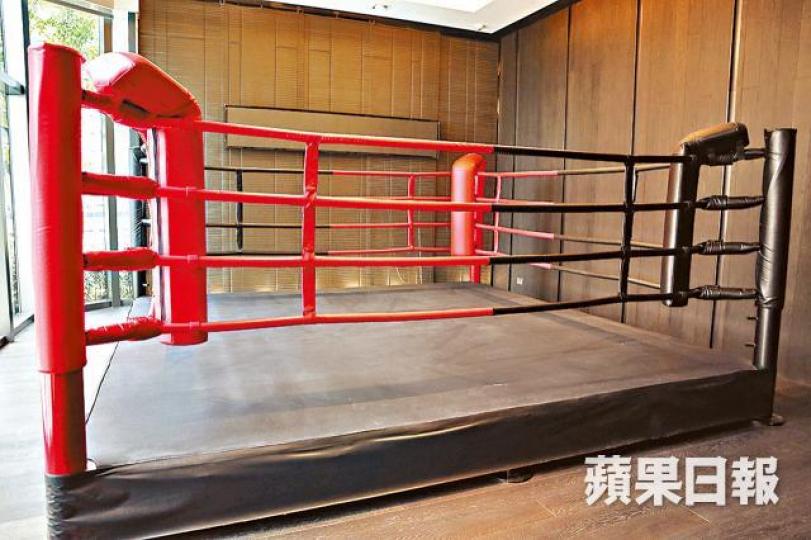 ■海天晉會所引入不少特別設施,如拳擊擂台。陳家雄攝■兒童遊樂室設有電子互動遊戲,供親子玩樂。 ■海天晉會所引入不少特別設施,如拳擊擂台。陳家雄攝■兒童遊樂室設有電子互動遊戲,供親子玩樂。