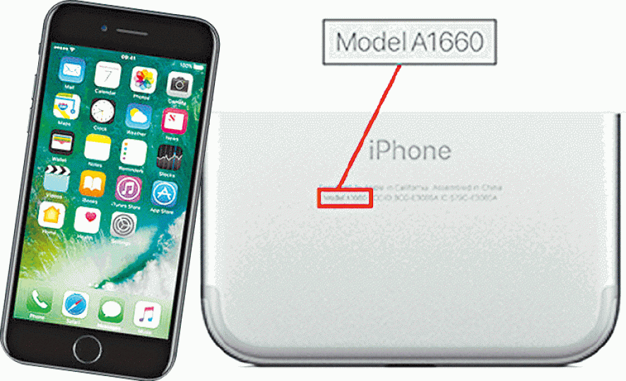 ■iPhone7用家可檢查機背編號,若為「A1660」(右圖)可到蘋果店免費維修。 ■iPhone7用家可檢查機背編號,若為「A1660」(右圖)可到蘋果店免費維修。