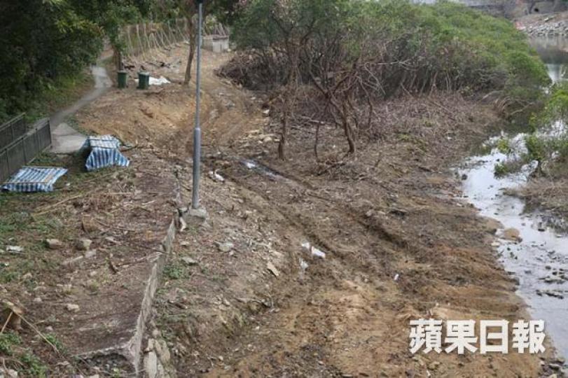 位於大埔滘白鷺湖對開一片紅樹林,近日被發現遭大規模砍伐。土地上出現一條長約5米的膠製「棧道」和另一條達20米長的木製「棧道」,聲稱用作測量土地。從高空可見,該紅樹林只有邊緣一些紅樹倖存。三個多小時內,只有1隻鷺鳥徘徊。半年前,該處樹林非常茂密。「樹博士」詹志勇到場觀察後,認為紅樹林被Clear Cutting式破壞。「有機耕種協會」總幹事蔡鏡秋承認責任,辯稱後耕種稻米,但其發展商背景令人起疑。 位於大埔滘白鷺湖對開一片紅樹林,近日被發現遭大規模砍伐。土地上出現一條長約5米的膠製「棧道」和另一條達20米長的木製「棧道」,聲稱用作測量土地。從高空可見,該紅樹林只有邊緣一些紅樹倖存。三個多小時內,只有1隻鷺鳥徘徊。半年前,該處樹林非常茂密。「樹博士」詹志勇到場觀察後,認為紅樹林被Clear Cutting式破壞。「有機耕種協會」總幹事蔡鏡秋承認責任,辯稱後耕種稻米,但其發展商背景令人起疑。
