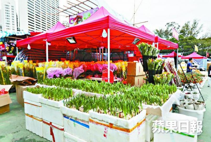 ■維園有花檔因水仙失收而減少入貨。黃文邦攝
■維園有花檔因水仙失收而減少入貨。黃文邦攝