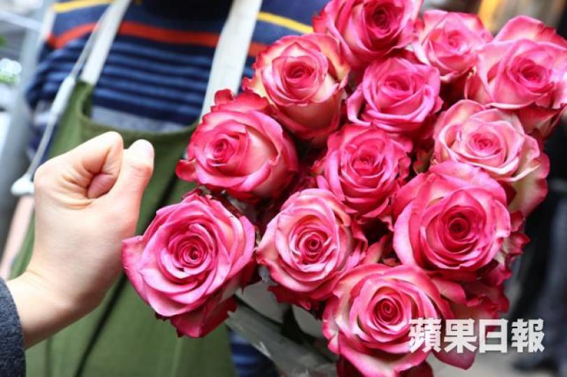 ■呢枝嚟自南非、開到好似拳頭咁大嘅玫瑰,一枝要120蚊。 ■呢枝嚟自南非、開到好似拳頭咁大嘅玫瑰,一枝要120蚊。