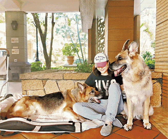 ■潘秋嬣對遲發現屋苑巡邏犬Sky(左)和Peaceful的慘況仍感歉疚。受訪者提供圖片■Peaceful去年12月離世,潘秋嬣將網民的祝福寫成心意卡送別牠。■潘秋嬣現時只剩下「安安」陪伴左右。伍嘉亮攝 ■潘秋嬣對遲發現屋苑巡邏犬Sky(左)和Peaceful的慘況仍感歉疚。受訪者提供圖片■Peaceful去年12月離世,潘秋嬣將網民的祝福寫成心意卡送別牠。■潘秋嬣現時只剩下「安安」陪伴左右。伍嘉亮攝