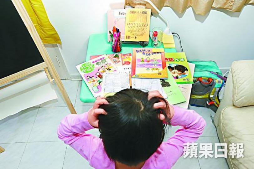 ■聖公會聖約翰小學3B班的家課欄顯示,假期須完成中文「閱讀TSA」(紅框示),校方回應指是TSA的舊試卷。革新教育家長同盟提供圖片
■聖公會聖約翰小學3B班的家課欄顯示,假期須完成中文「閱讀TSA」(紅框示),校方回應指是TSA的舊試卷。革新教育家長同盟提供圖片