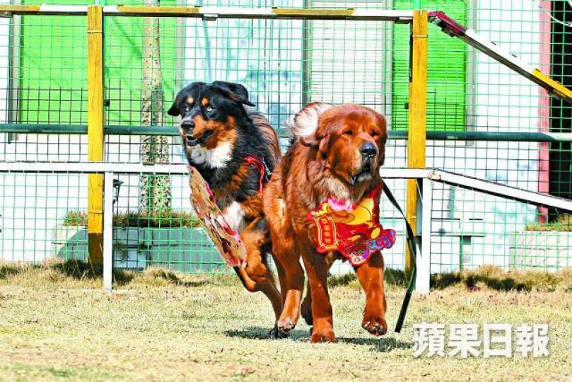 黃經國
黃經國