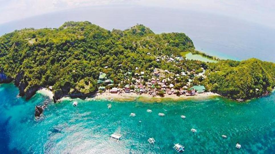 ■菲律賓阿波島有大批海龜棲息,吸引潛水客觀光。
■菲律賓阿波島有大批海龜棲息,吸引潛水客觀光。