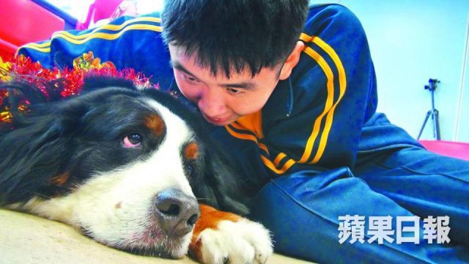 ■狗醫生Wesley現時經常到訪學校,幫助有需要學童。 ■狗醫生Wesley現時經常到訪學校,幫助有需要學童。