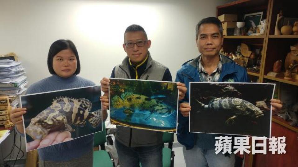 ■張瑪珊博士(左)呼籲市民切勿放生沙巴龍躉。潘柏林攝
■張瑪珊博士(左)呼籲市民切勿放生沙巴龍躉。潘柏林攝