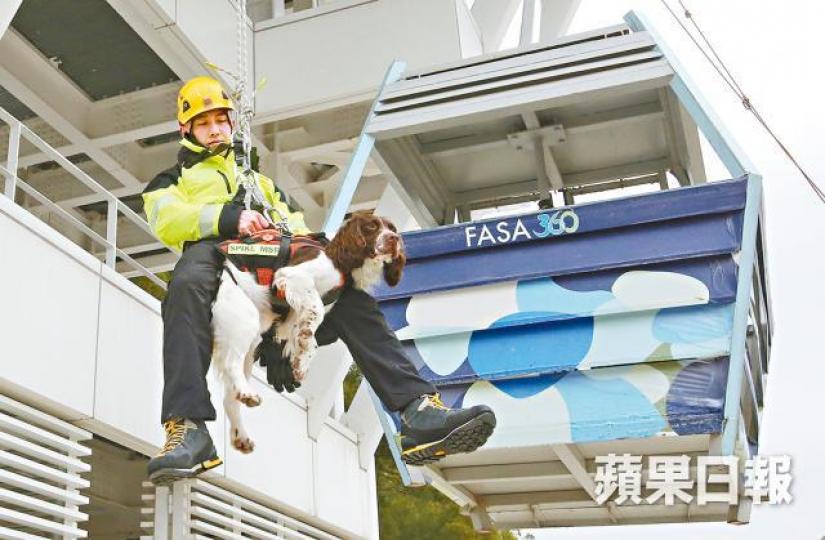 ■搜索犬憑人類氣味及風向分析源頭,尋找拯救目標。
■搜索犬憑人類氣味及風向分析源頭,尋找拯救目標。