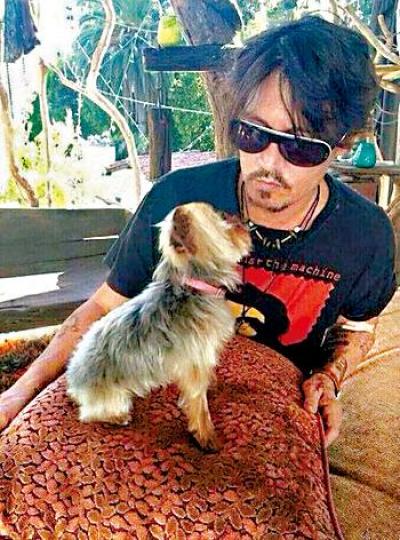 ■尊尼狄普與愛犬Boo
■尊尼狄普與愛犬Boo