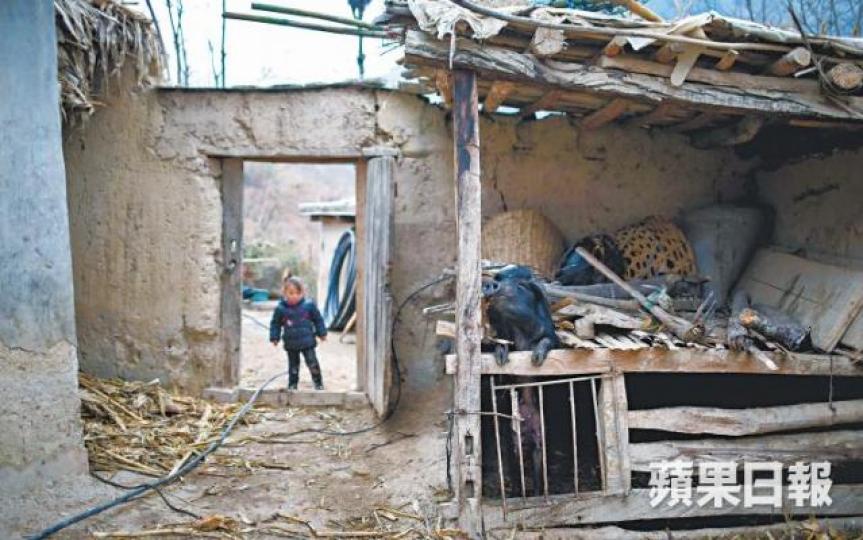 ■懸崖村目前全為泥房,小童天天與家養的豬及家禽為伴。■載貨索道剛在2月初開通,每趟可運送300公斤以下貨物上山。■懸崖村鋼梯入口處高掛習近平「擼起袖子加油幹」等語錄。■家家戶戶設有火坑,村民入夜後在家烤火取暖。■習近平上月到昭覺縣彝族人村落視察扶貧工作。 ■懸崖村目前全為泥房,小童天天與家養的豬及家禽為伴。■載貨索道剛在2月初開通,每趟可運送300公斤以下貨物上山。■懸崖村鋼梯入口處高掛習近平「擼起袖子加油幹」等語錄。■家家戶戶設有火坑,村民入夜後在家烤火取暖。■習近平上月到昭覺縣彝族人村落視察扶貧工作。