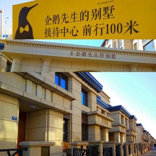 ■天津嘅「企鵝先生的別墅」,破咗企鵝只係喺南極嘅常識。互聯網圖片 ■天津嘅「企鵝先生的別墅」,破咗企鵝只係喺南極嘅常識。互聯網圖片