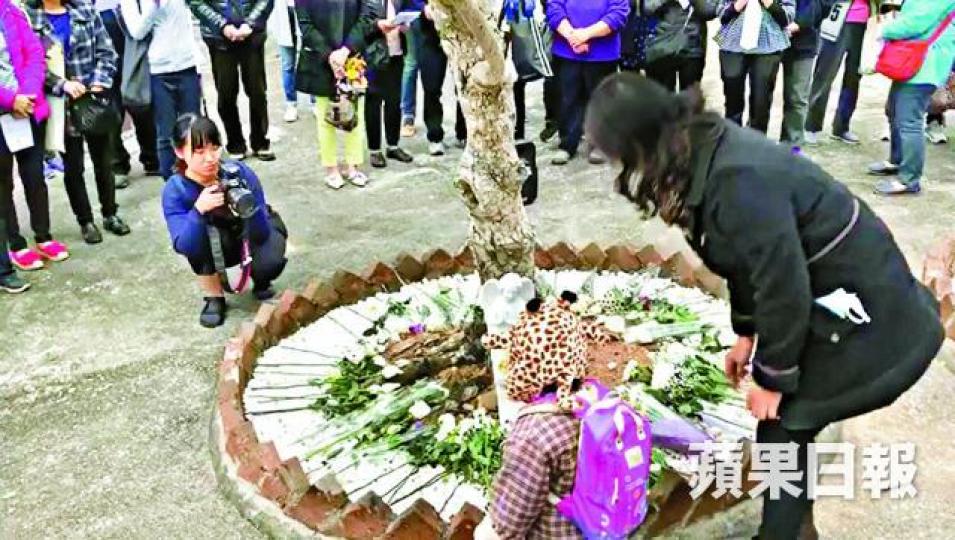 ■天主教墳場去年設立「天使花園」,讓未滿24周的流產胎合法安葬。 ■天主教墳場去年設立「天使花園」,讓未滿24周的流產胎合法安葬。