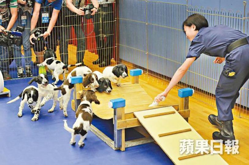 ■海關不時會派關員到海外學習訓練工作犬。資料圖片
■海關不時會派關員到海外學習訓練工作犬。資料圖片