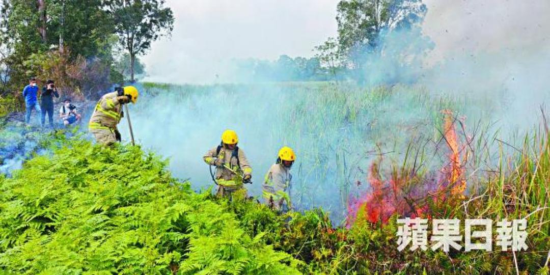 ■大批消防員昨到南生圍火場撲救。 ■大批消防員昨到南生圍火場撲救。