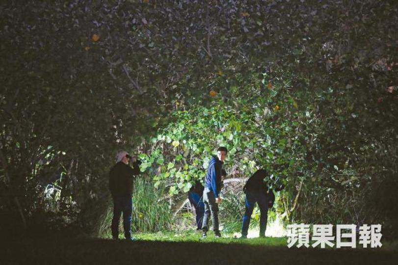 ■台灣警方在竹圍捷運站外草叢搜尋遇害港女遺體。台灣《蘋果日報》 ■台灣警方在竹圍捷運站外草叢搜尋遇害港女遺體。台灣《蘋果日報》